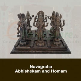 Navagraha Abhishekam and Homam